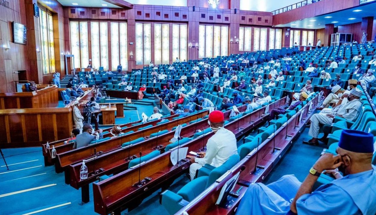 House of Reps Proposes 10-Year Prison Sentence, N5 Million Fine for Not Reciting National Anthem