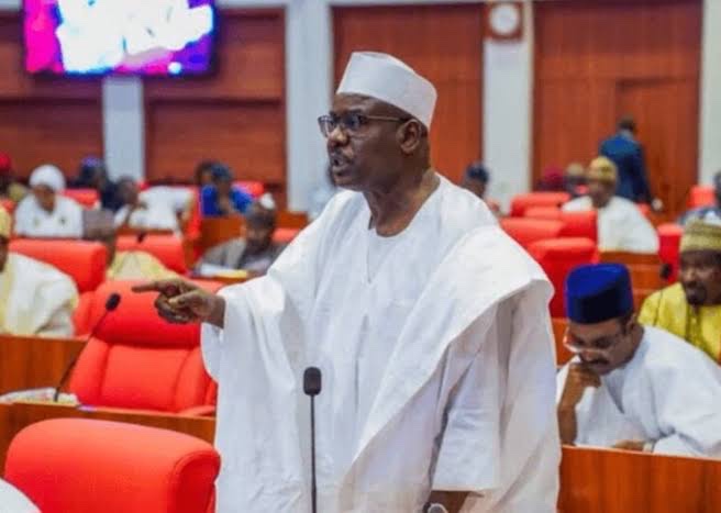 "It's Only in Nigeria That You Steal Money and Walk Freely" — Senator Ali Ndume