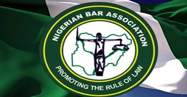 Nigerian Bar Association Calls for Investigation into Bobrisky ₦15 Million Bribery Allegations, Urges Caution